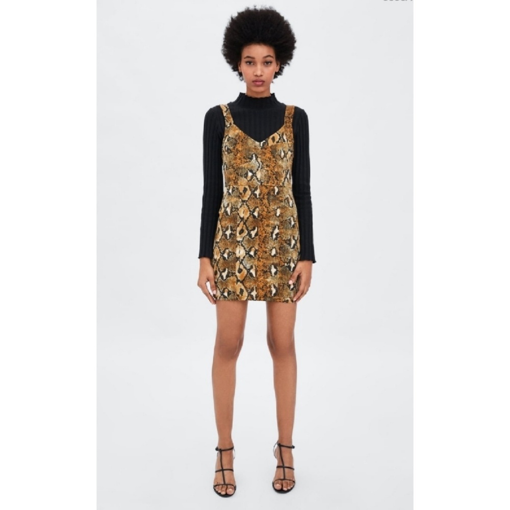 Zara dress